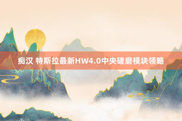 痴汉 特斯拉最新HW4.0中央磋磨模块领略