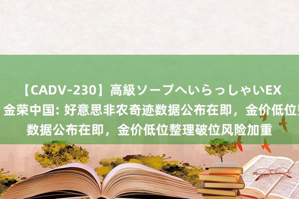 【CADV-230】高級ソープへいらっしゃいEX 巨乳限定4時間 2 金荣中国: 好意思非农奇迹数据公布在即，金价低位整理破位风险加重