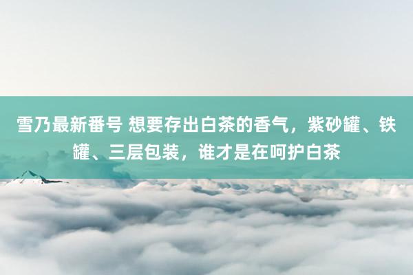 雪乃最新番号 想要存出白茶的香气，紫砂罐、铁罐、三层包装，谁才是在呵护白茶