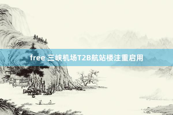 free 三峡机场T2B航站楼注重启用