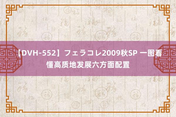 【DVH-552】フェラコレ2009秋SP 一图看懂高质地发展六方面配置