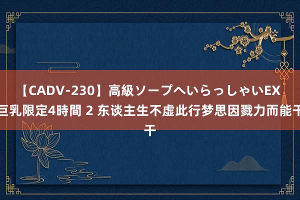 【CADV-230】高級ソープへいらっしゃいEX 巨乳限定4時間 2 东谈主生不虚此行梦思因戮力而能干