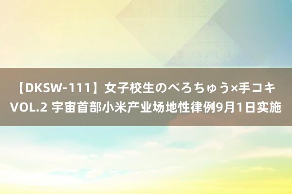 【DKSW-111】女子校生のべろちゅう×手コキ VOL.2 宇宙首部小米产业场地性律例9月1日实施