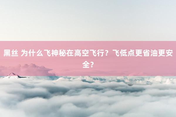 黑丝 为什么飞神秘在高空飞行？飞低点更省油更安全？