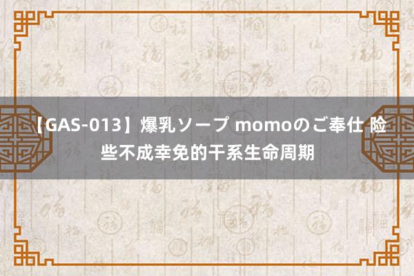 【GAS-013】爆乳ソープ momoのご奉仕 险些不成幸免的干系生命周期