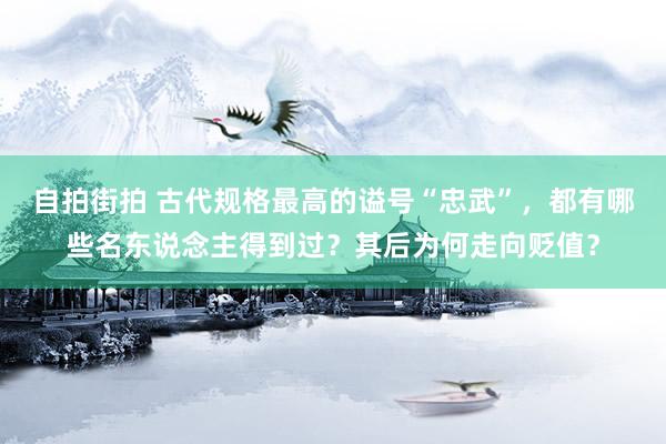 自拍街拍 古代规格最高的谥号“忠武”，都有哪些名东说念主得到过？其后为何走向贬值？