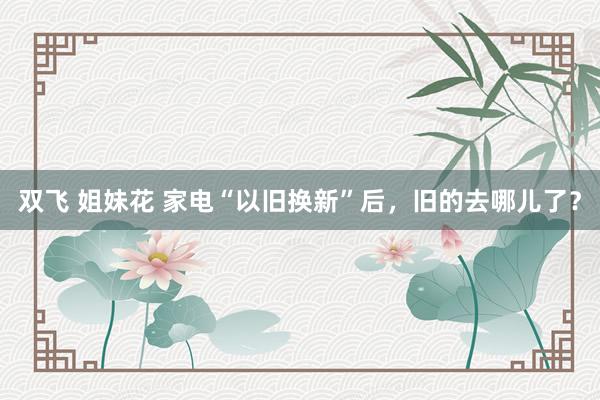 双飞 姐妹花 家电“以旧换新”后，旧的去哪儿了？