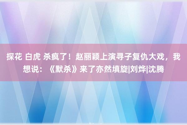 探花 白虎 杀疯了！赵丽颖上演寻子复仇大戏，我想说：《默杀》来了亦然填旋|刘烨|沈腾